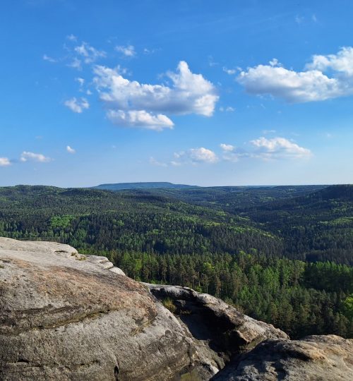 UTF-81000022126